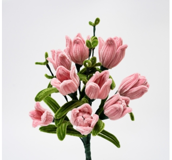 情人节花束套装（红粉玫瑰）